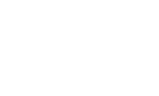 Icono celebración